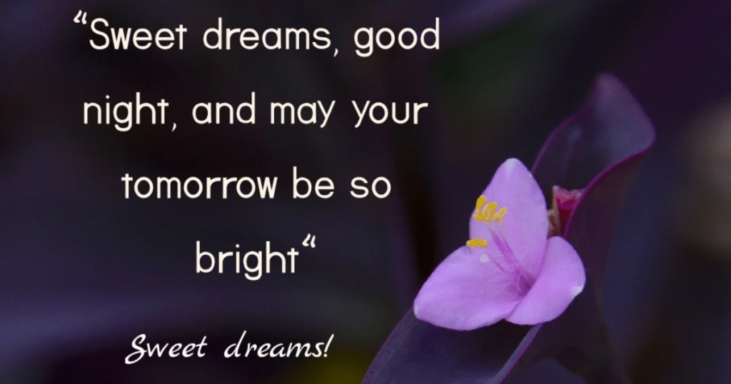 comfort quotes