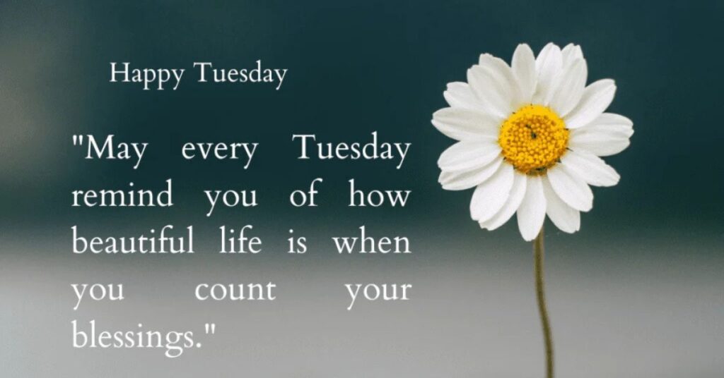 Beautiful Tuesday quotes