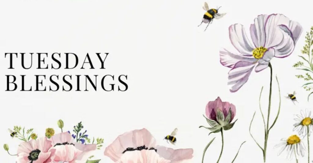 Tuesday Blessings