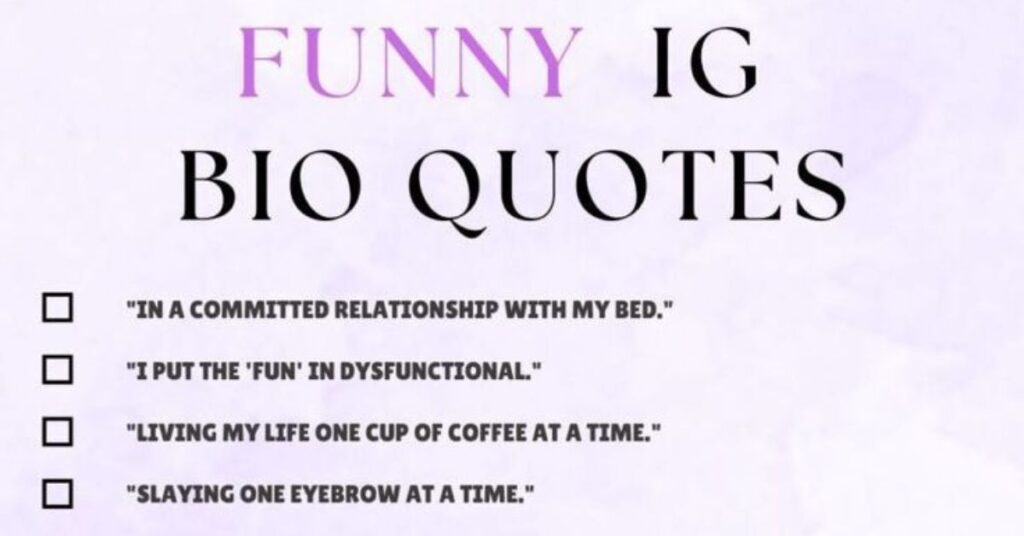 Funny Aesthetic Bio for Instagram